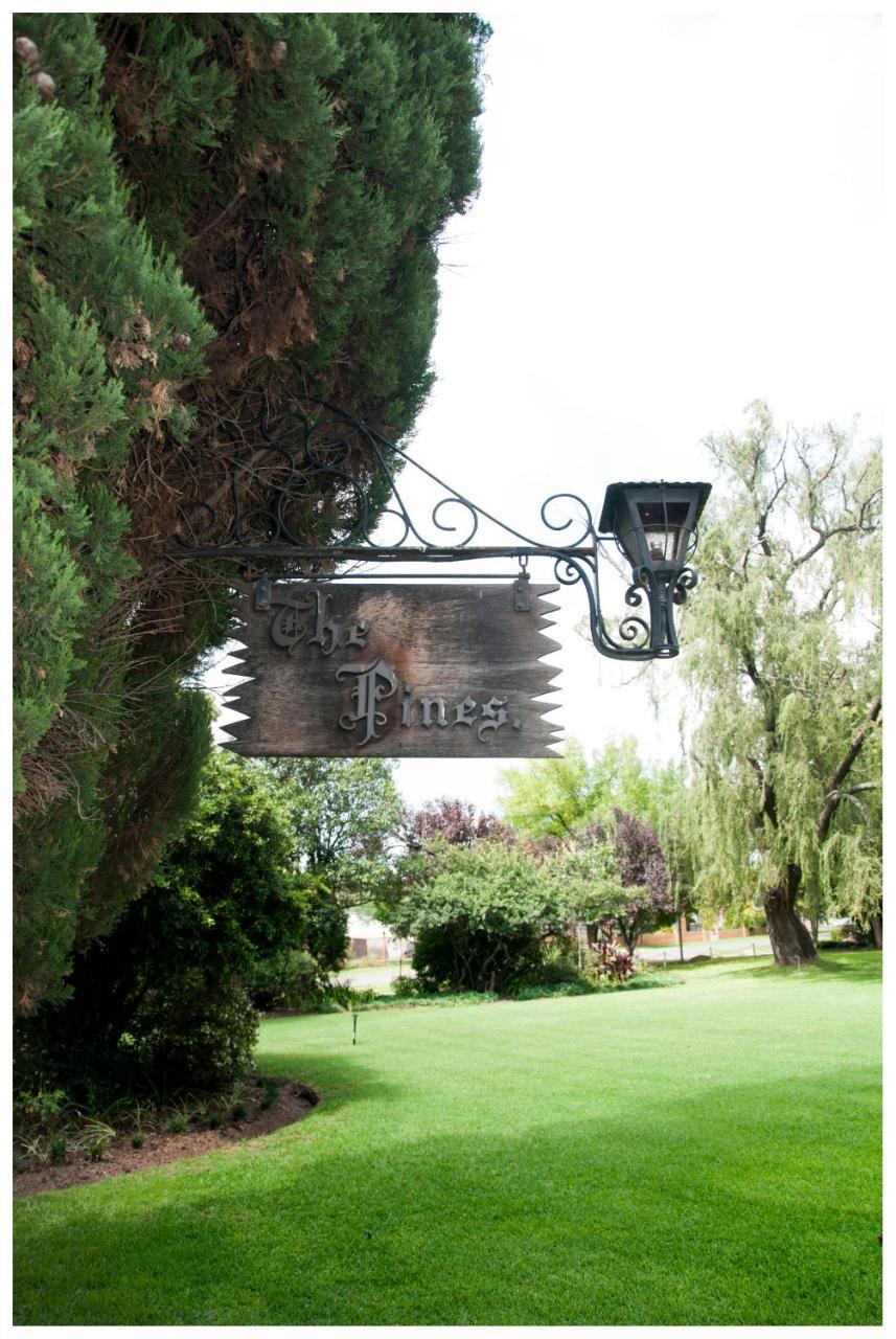 Shady Pines Guest House Harrismith Extérieur photo